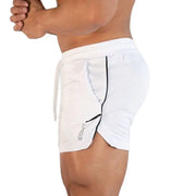 Quick-Dry Performance Training Shorts image 5