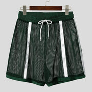 Daring Sheer Mesh Lounge Shorts image 7