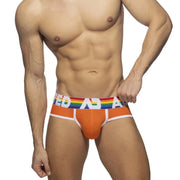 Rainbow Waist Cotton Briefs image 10