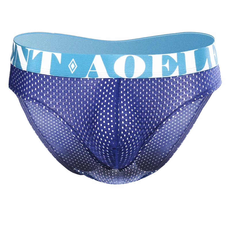 5Pc Ice Silk Mesh Briefs image 0