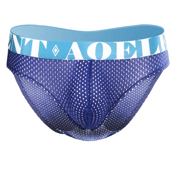 5-Pack Ice Silk Mesh Briefs
