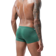 Mens Sexy Swim Briefs image 1