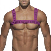 Stretch Chest Harness for Party Play image 39