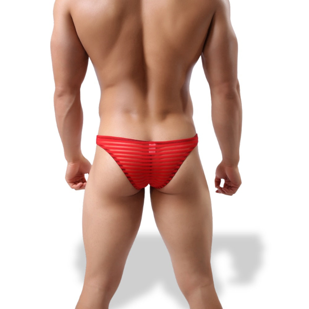 Breathable Mesh Briefs for Men