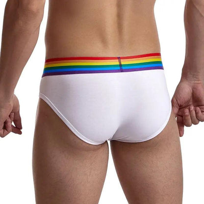 Breathable Rainbow Mens Briefs