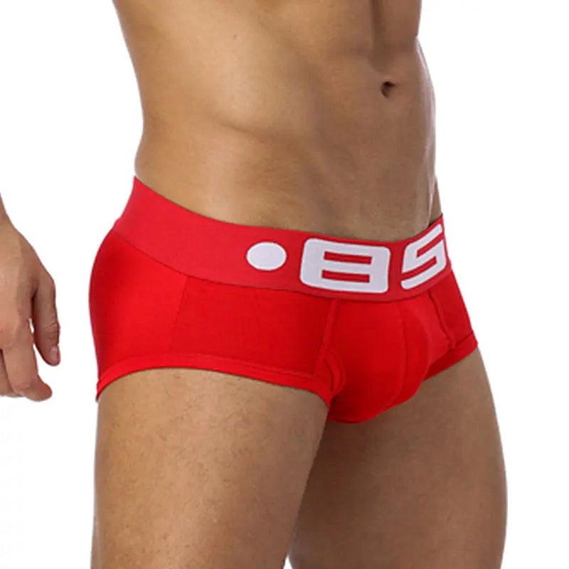 CMENIN Men's Mesh Briefs