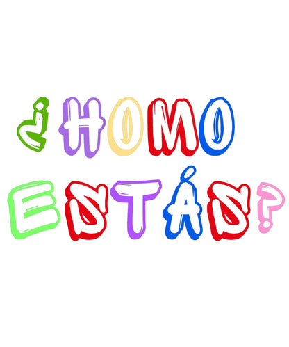 ¿Homo Estas? - The Most Fabulous Spanish Lesson Ever T-Shirt