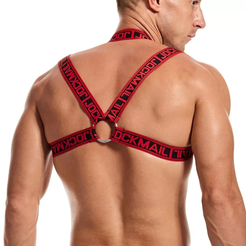 Male Harness Bodysuit