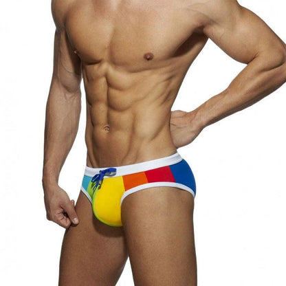 Rainbow Nylon Swim Briefs