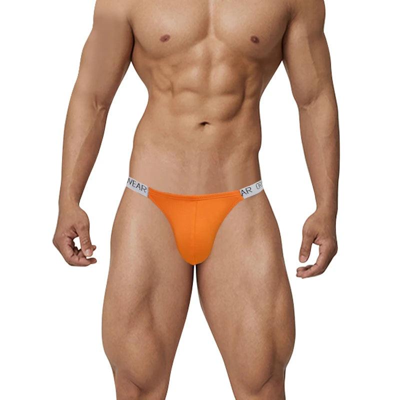 Sexy Low Waist Mesh Breathable Briefs