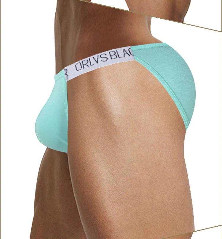 Sexy Low Waist Mesh Breathable Briefs