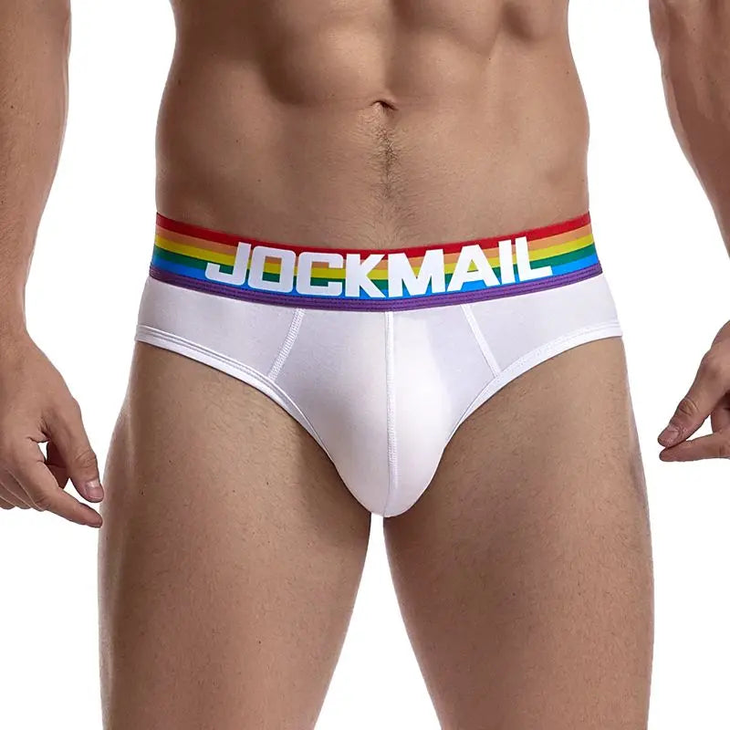 Rainbow Mesh Briefs for Gay Men