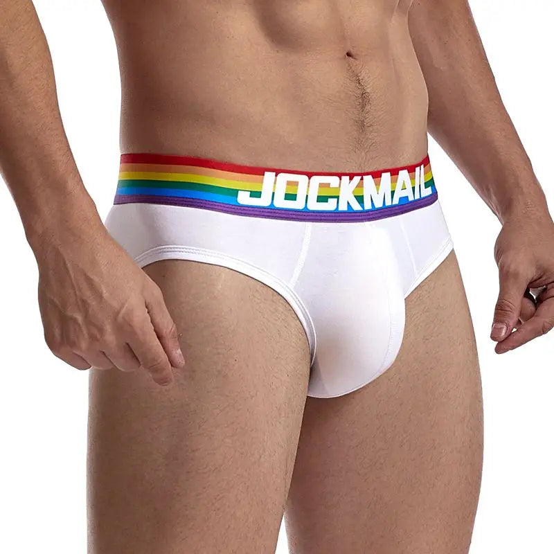 Rainbow Mesh Briefs for Gay Men