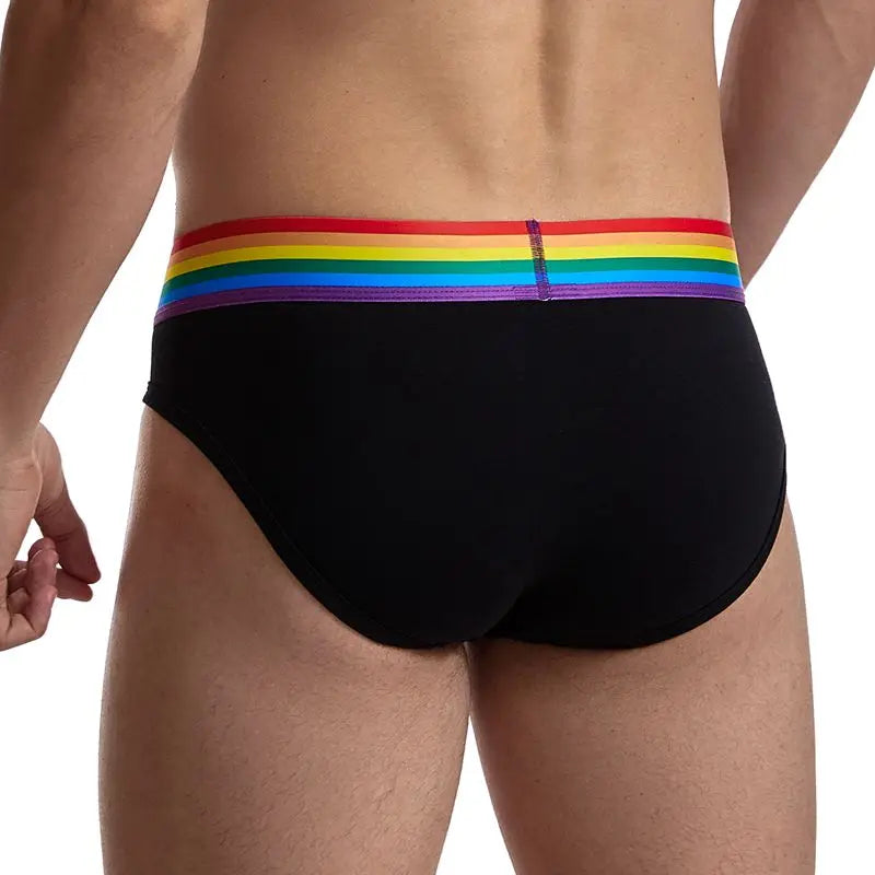 Rainbow Mesh Briefs for Gay Men