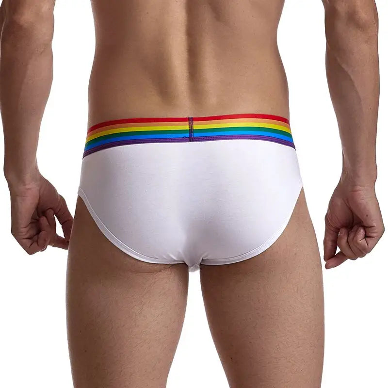 Rainbow Mesh Briefs for Gay Men