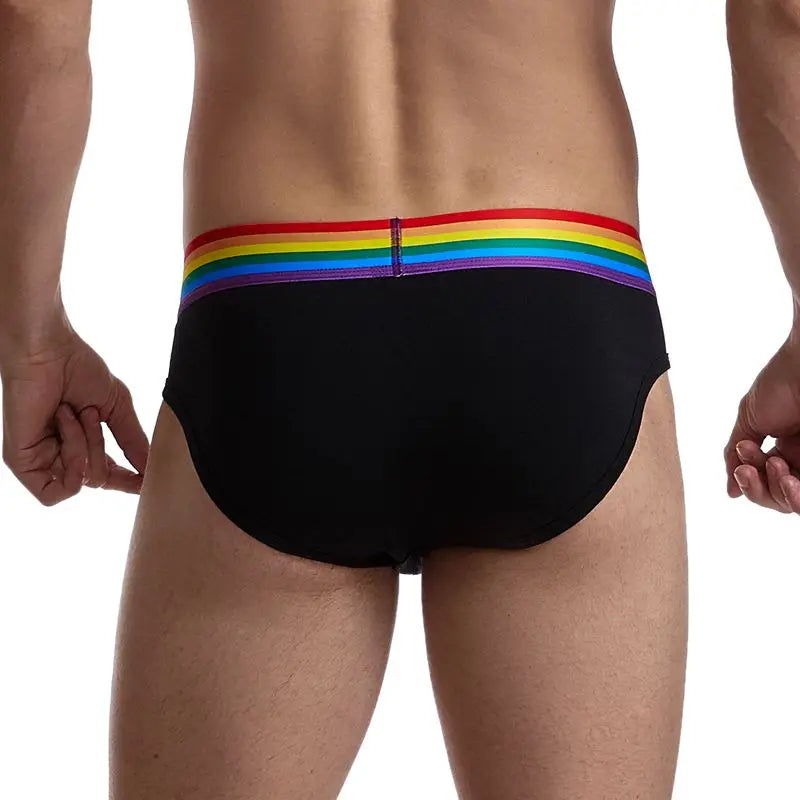 Rainbow Mesh Briefs for Gay Men