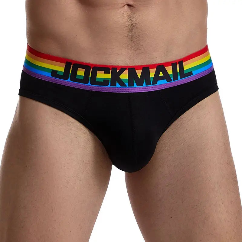 Rainbow Mesh Briefs for Gay Men