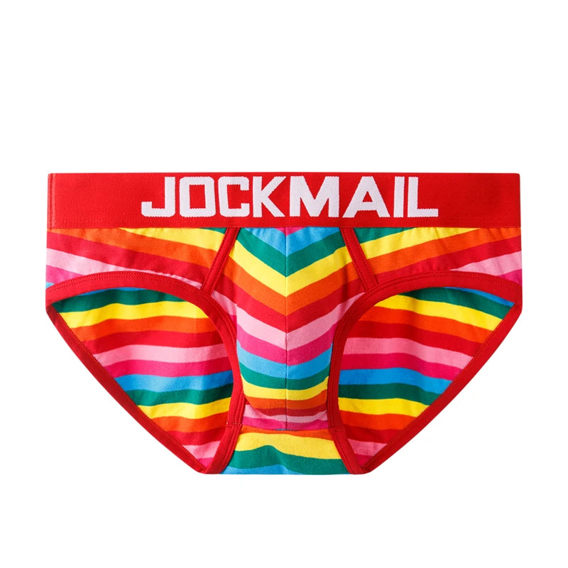 Rainbow Mesh Briefs for Gay Men