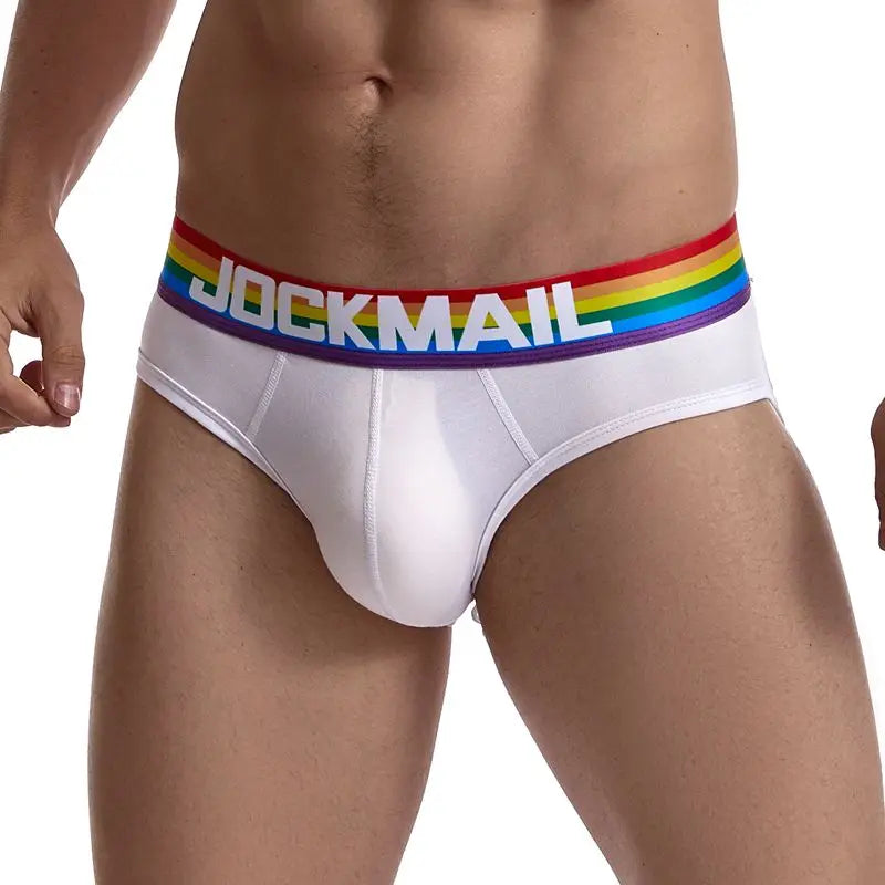 Rainbow Mesh Briefs for Gay Men