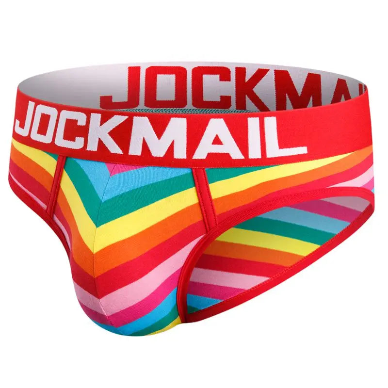 Rainbow Mesh Briefs for Gay Men