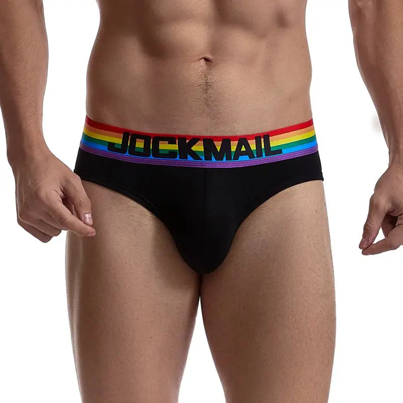 Rainbow Mesh Briefs for Gay Men